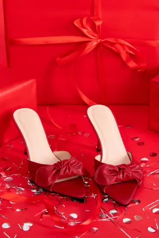 Mules Μυτερά με Φιόγκο - Μπορντό