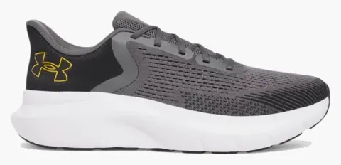 UNDER ARMOUR UA Charged Rogue 5 3028256-025 Gray